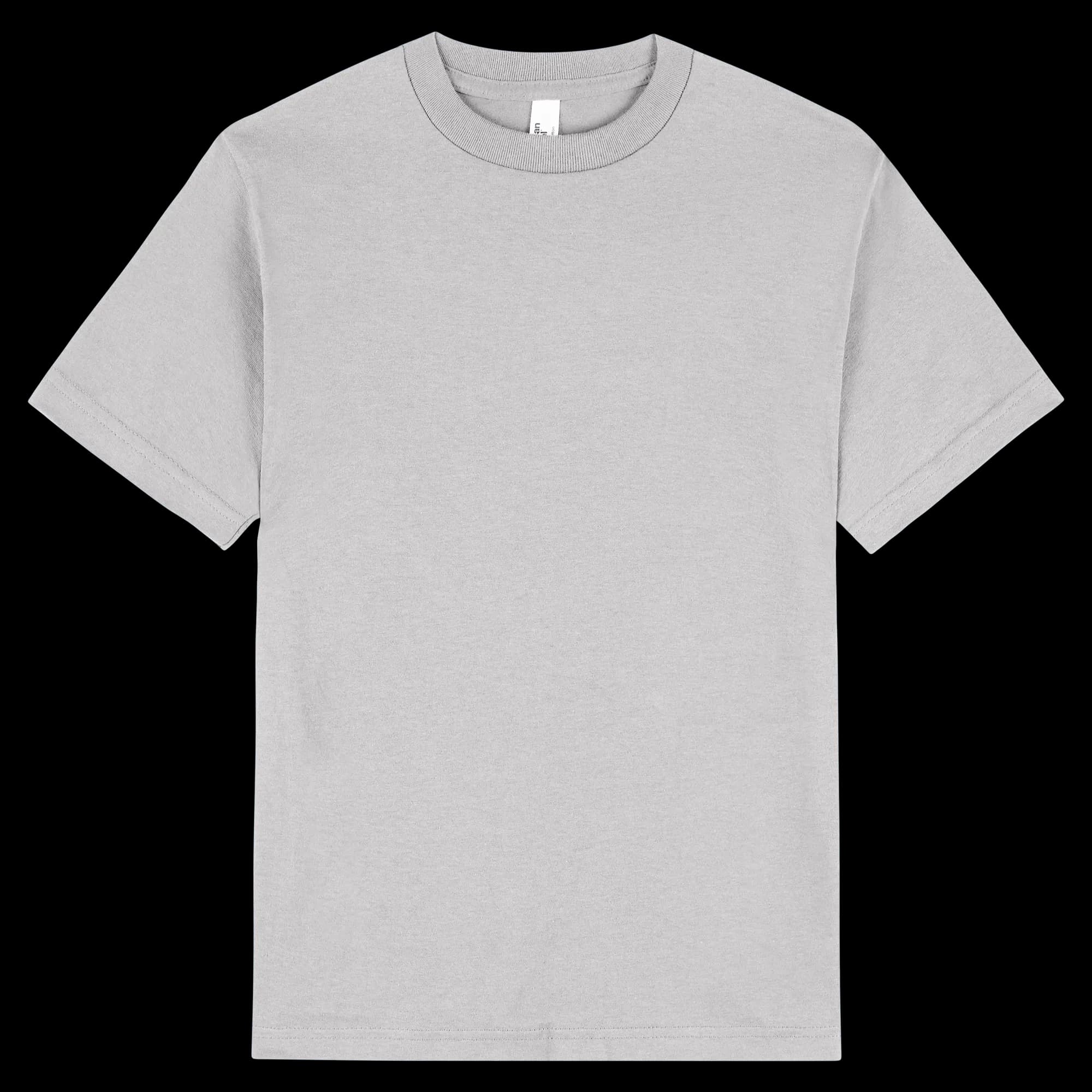 1301 American Apparel Heavyweight Cotton Unisex T-Shirt — Ash Grey